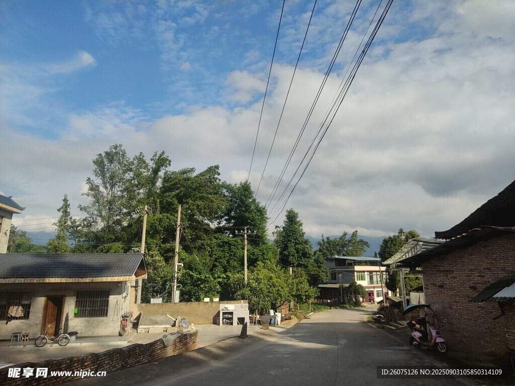 乡村宁静小道风景