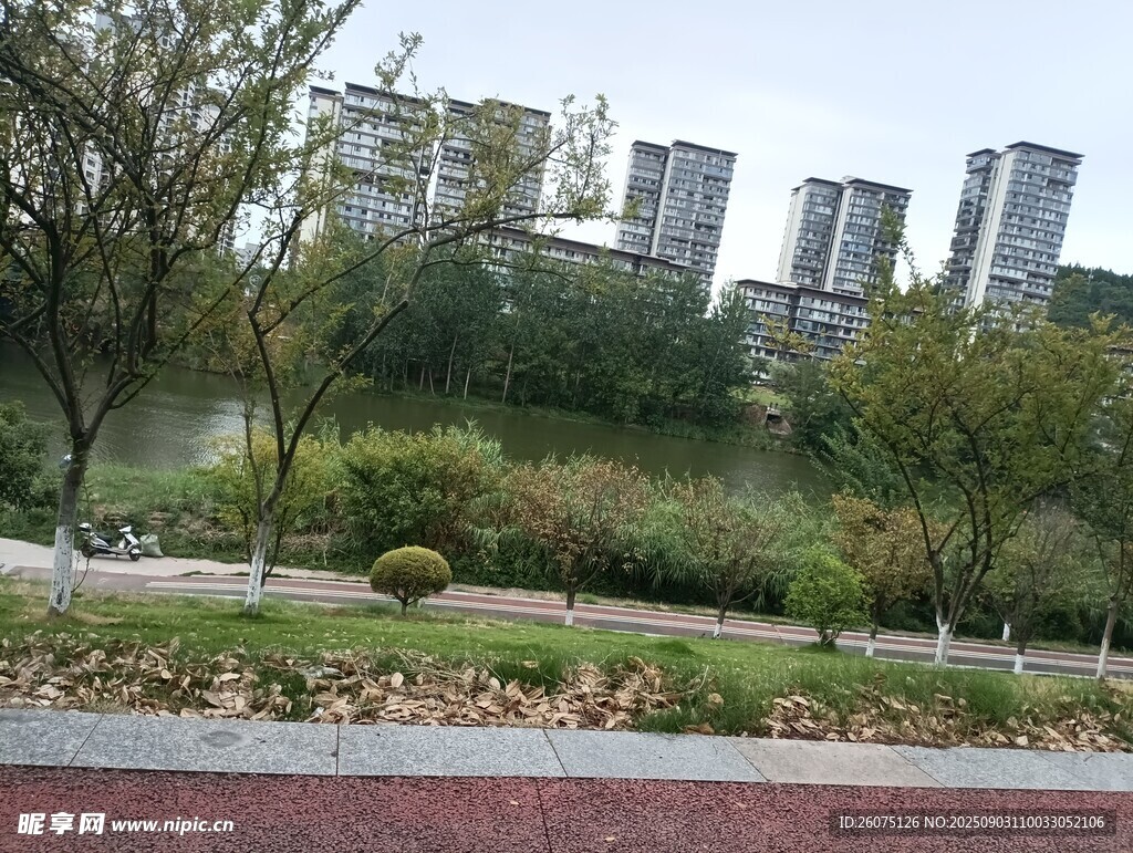 城市中的自然景观一角