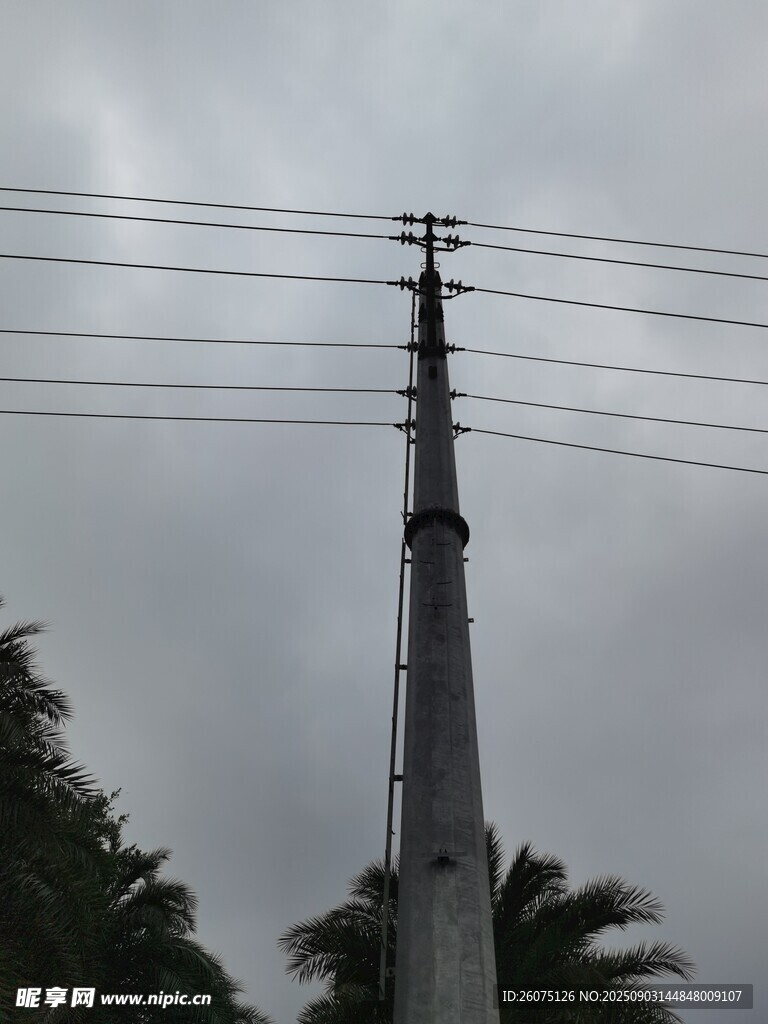 高耸电线杆与阴沉天空