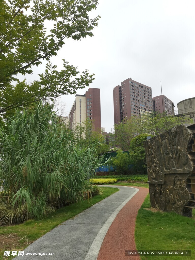 城市中的绿意小径