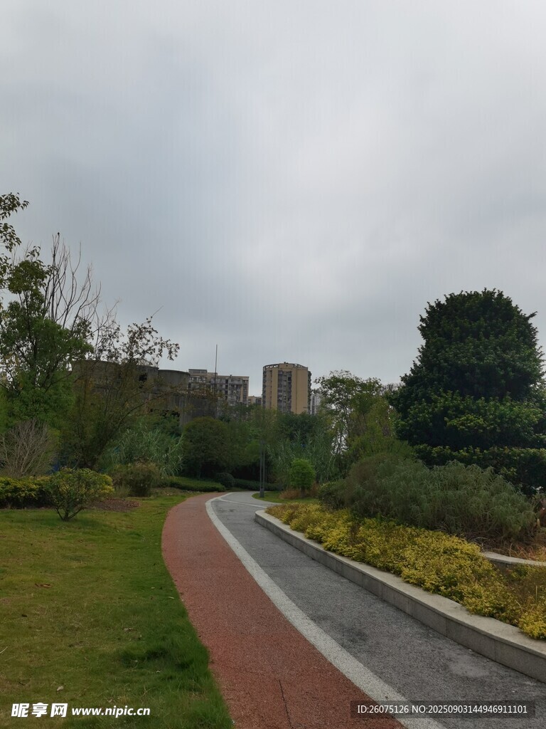 城市中的宁静林荫步道
