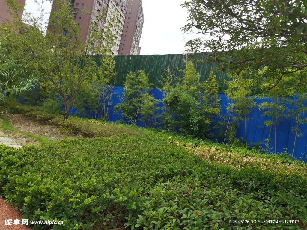城市中葱郁的绿植与蓝绿围栏景观