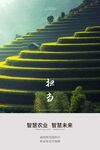 文化海报