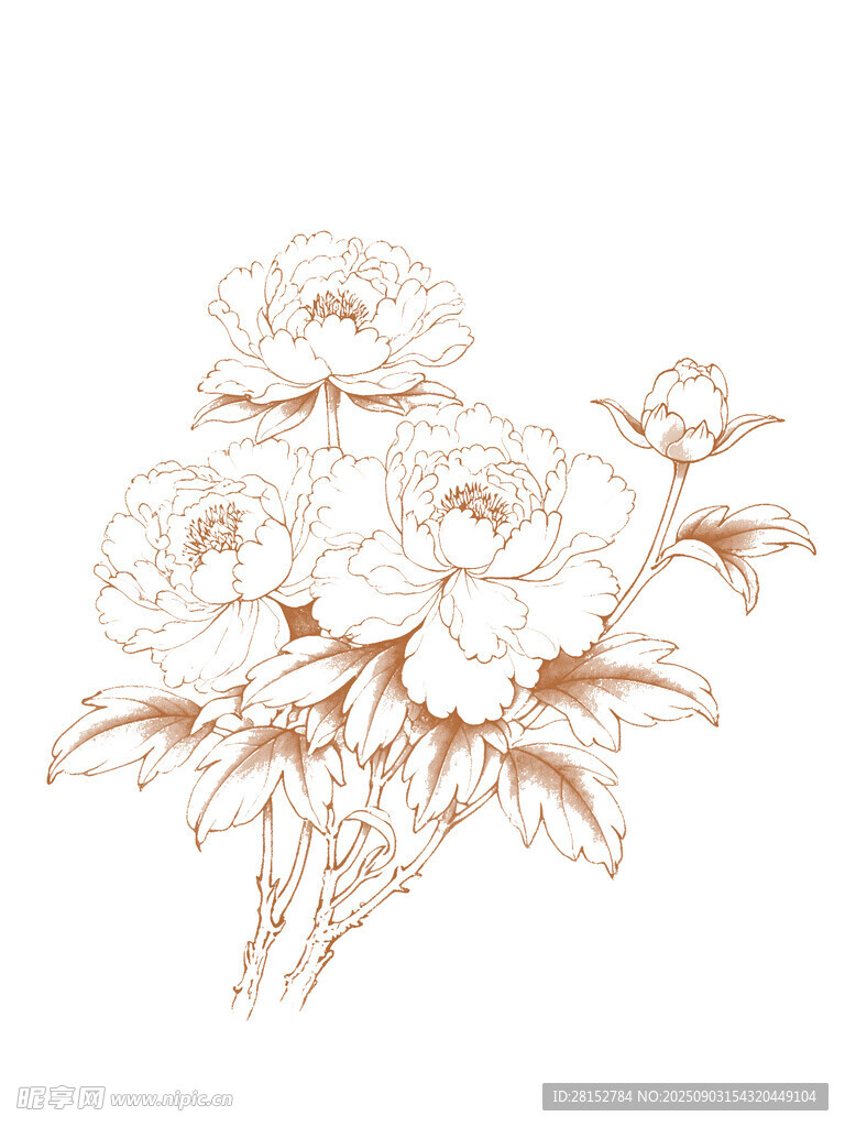 手绘花卉图案