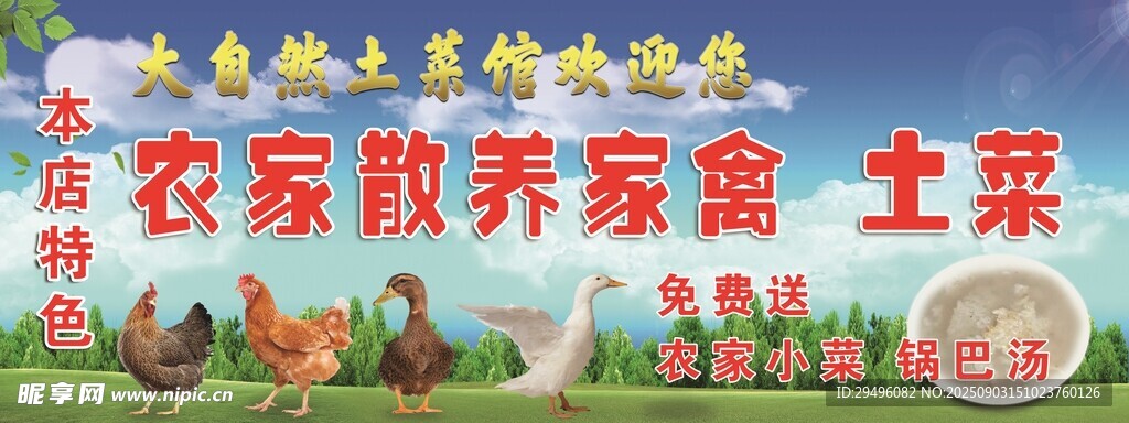 农家散养家禽土菜