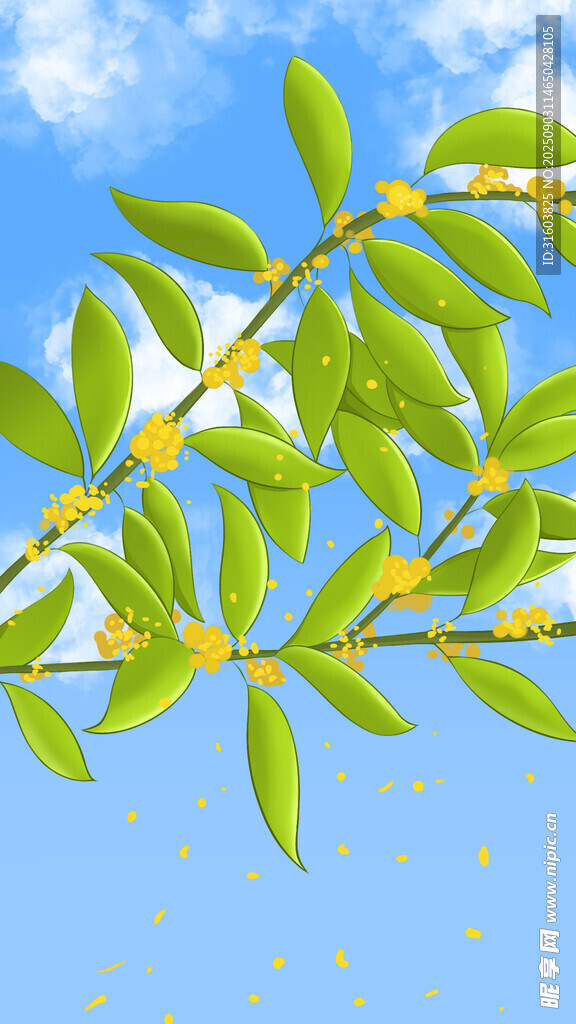 手绘桂花壁纸