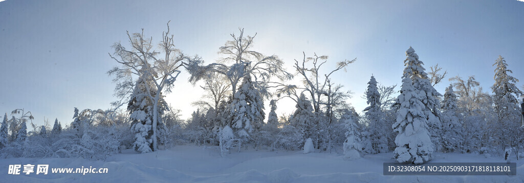 冬日雪林美景