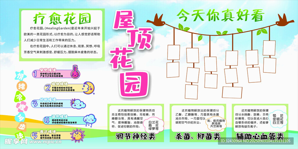 屋顶花园 照片墙 情绪管理 