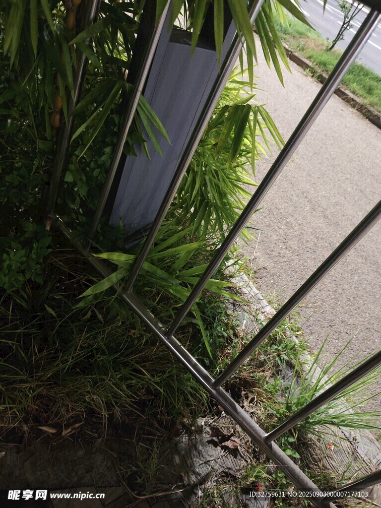 金属围栏旁的绿植景观