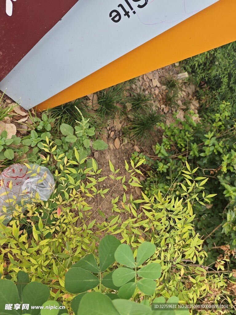 户外植物旁的警示标识