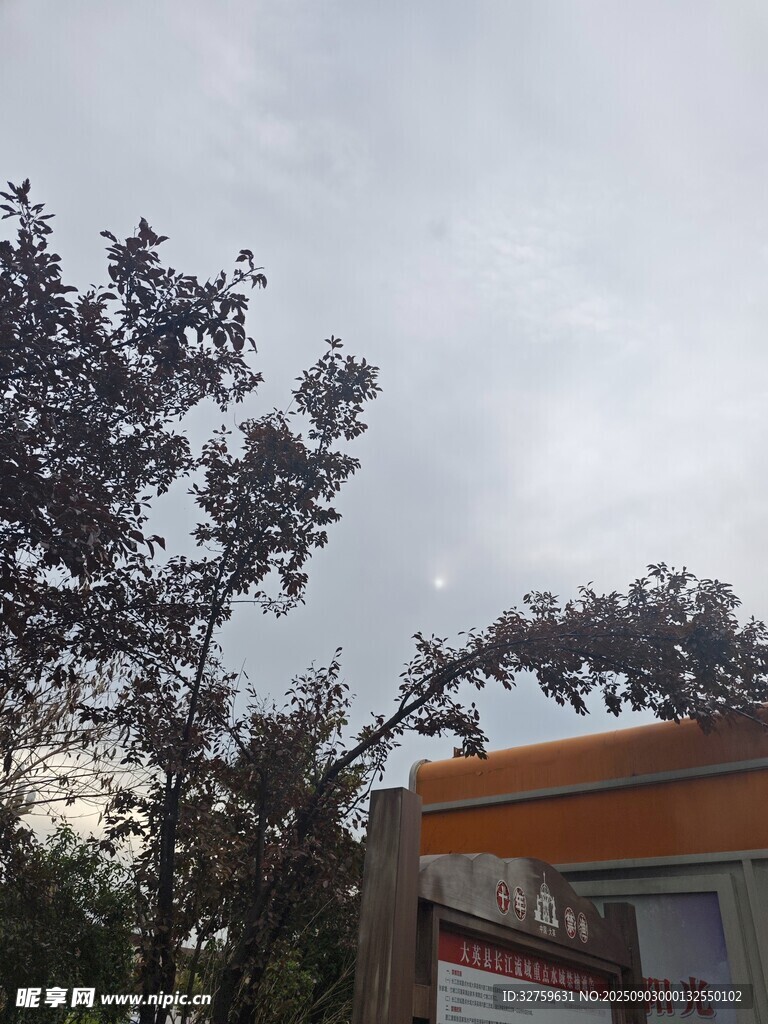 户外树木与简易建筑景观