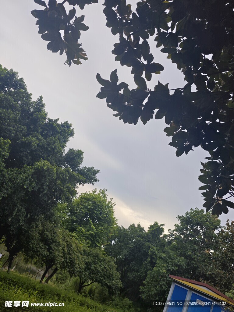 绿荫下的户外景致