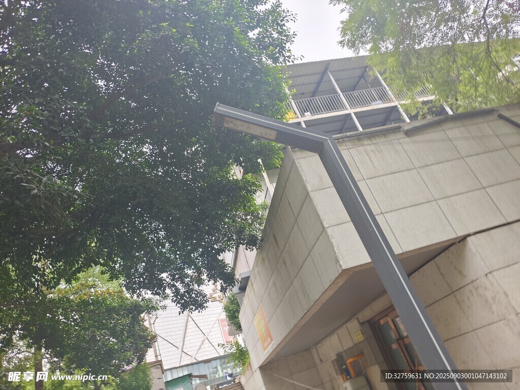 透过树木看建筑一角