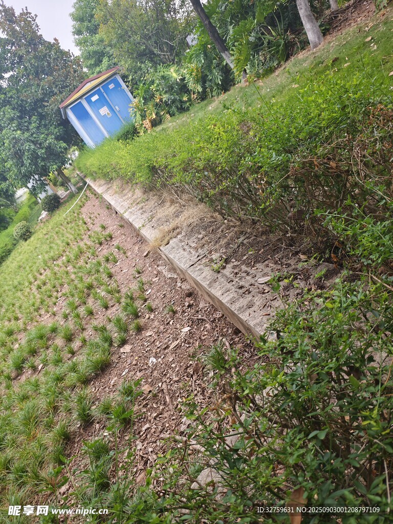 户外草地旁的蓝色小屋