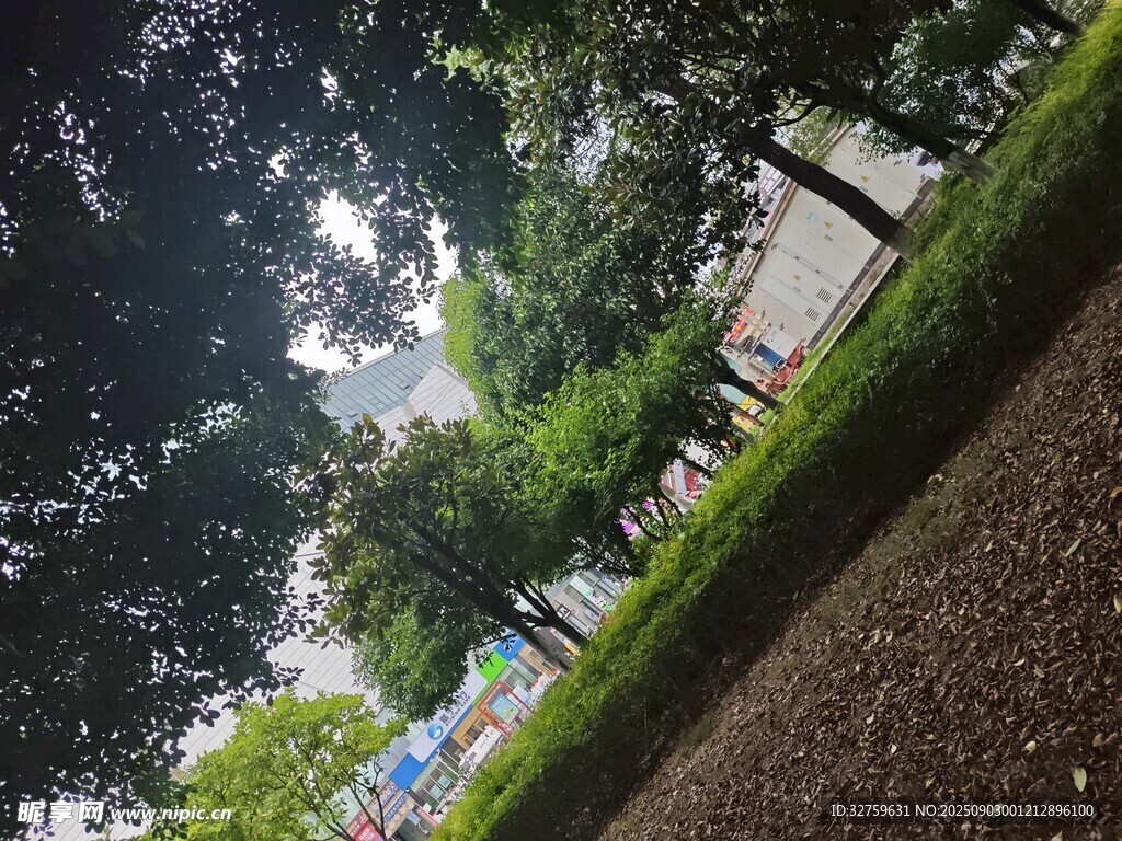 公园绿意盎然的景致