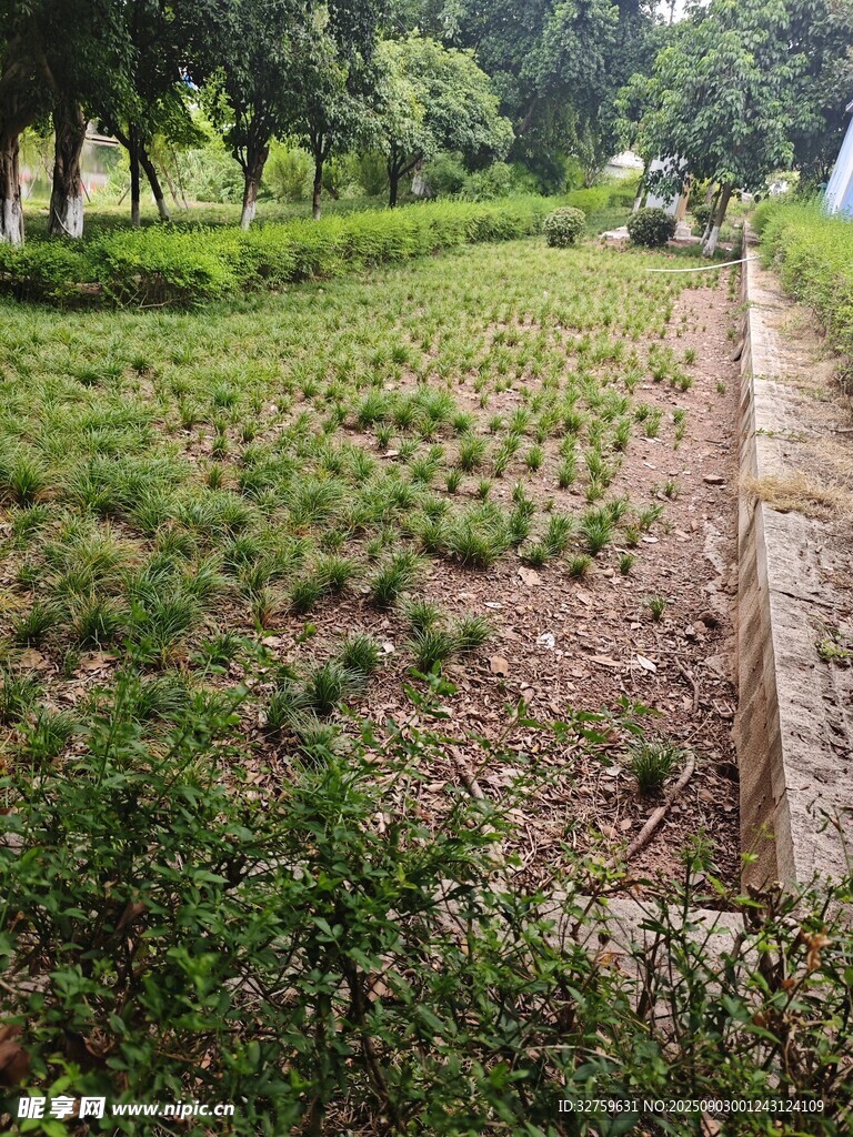 田园风光中的绿植种植地