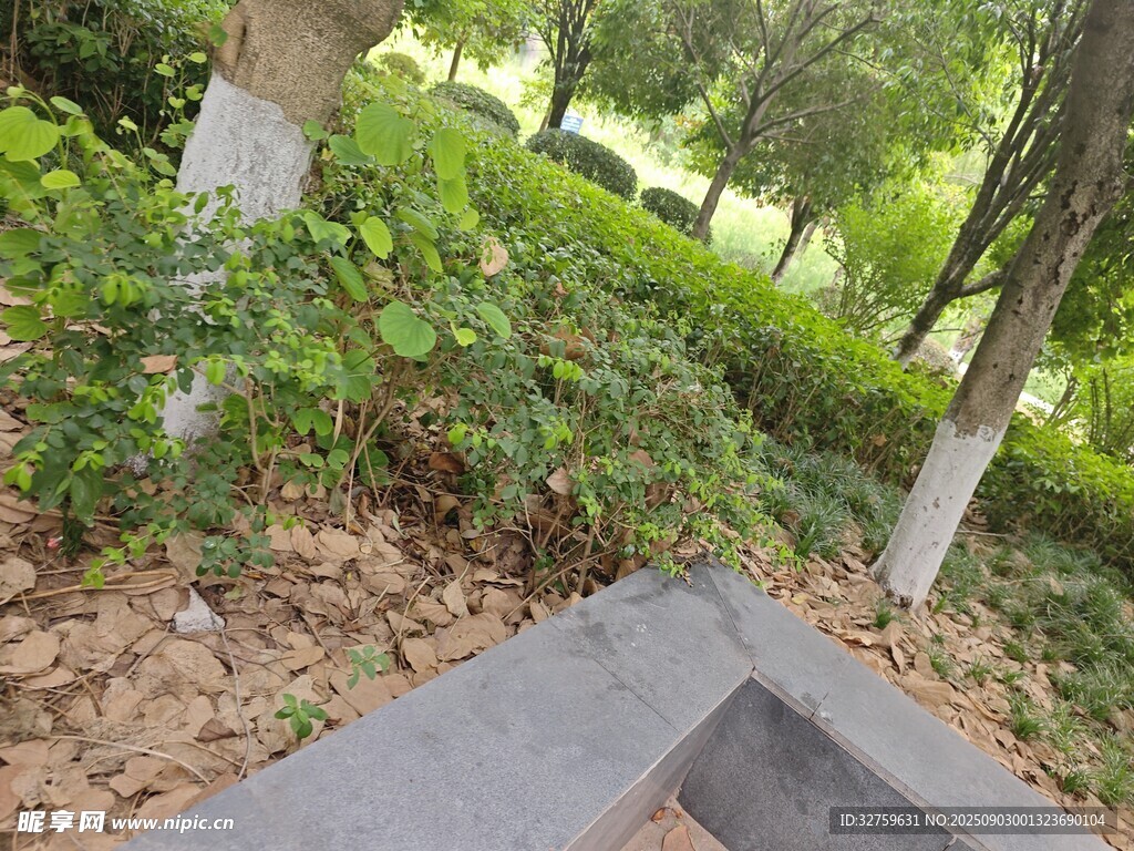 户外绿植环绕的水泥角落