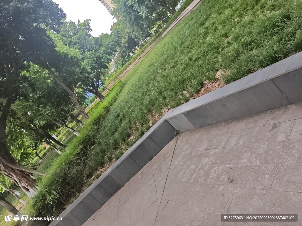 公园中的平坦步道与绿植