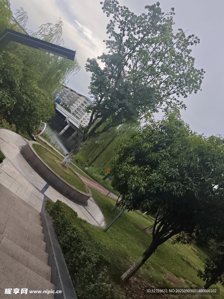 城市中的静谧绿化景观
