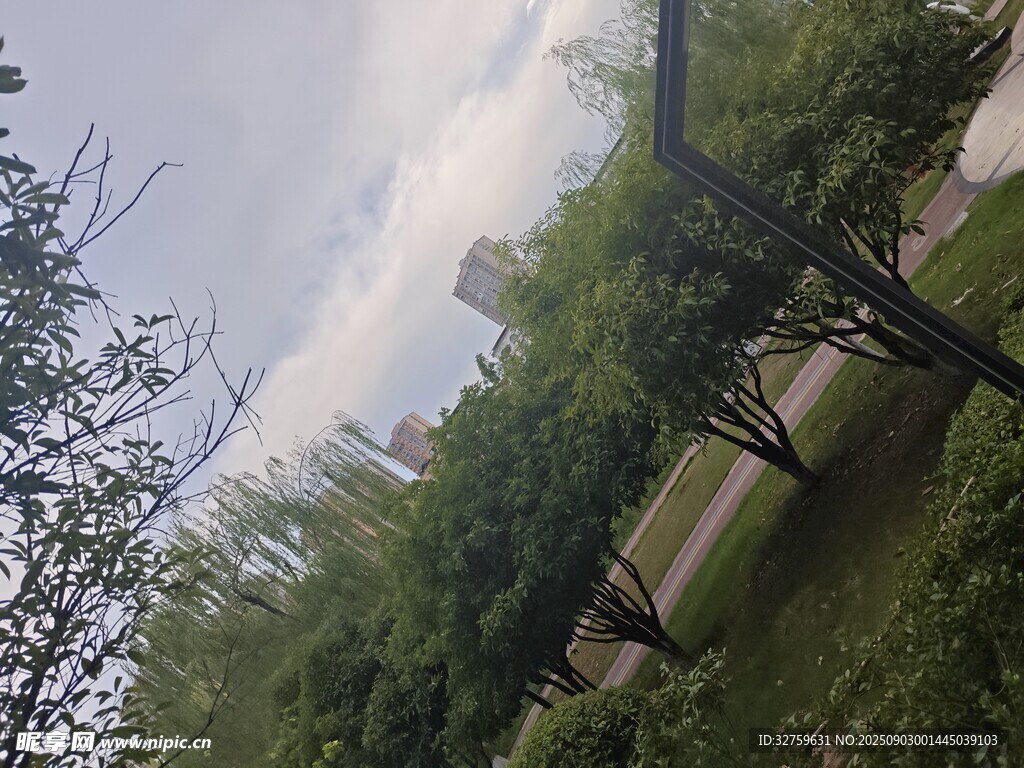户外绿意盎然的自然景致