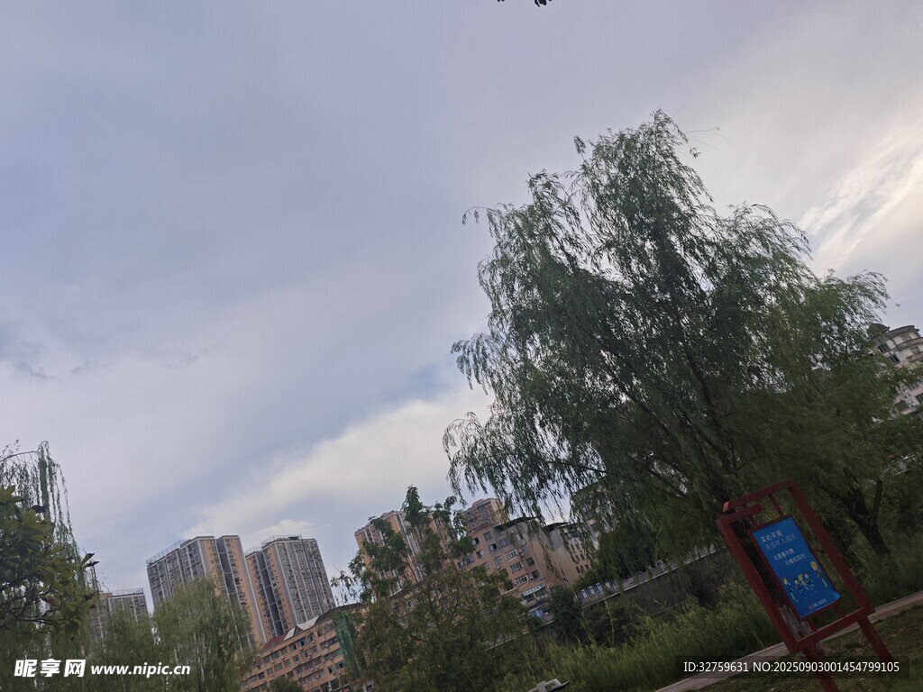 城市天空下的树木与建筑