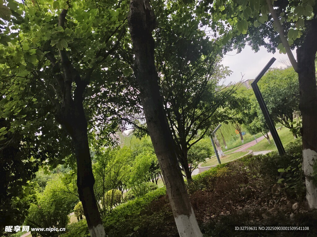 绿树成荫的户外景致