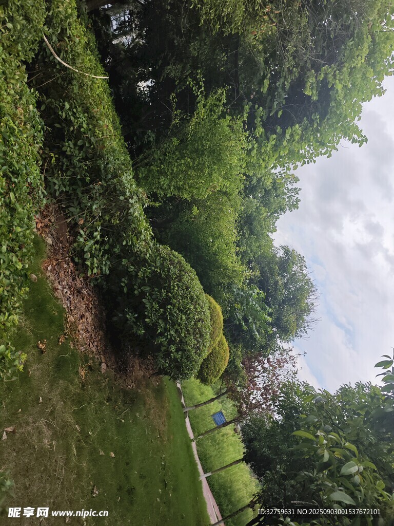 绿意盎然的园林景观