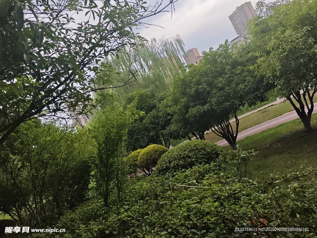 绿意盎然的城市园林景观