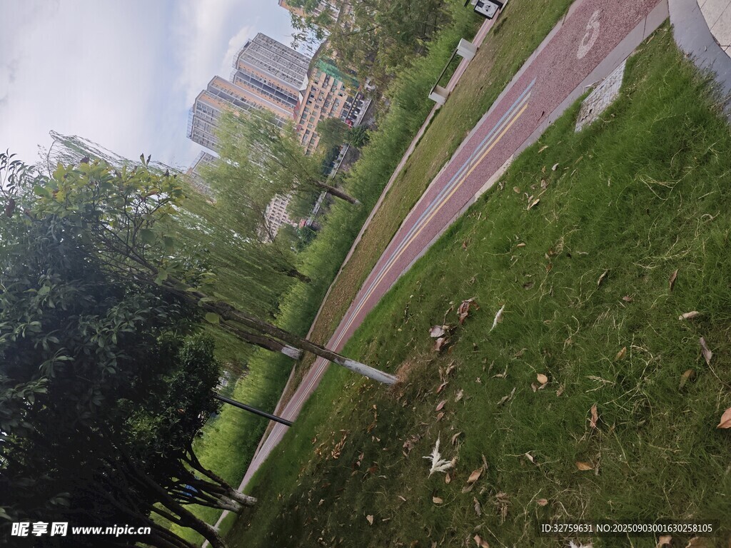 城市公园中的绿植与步道