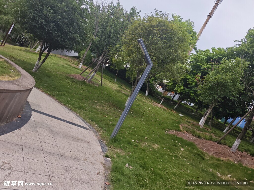 公园小径旁的绿树与草地