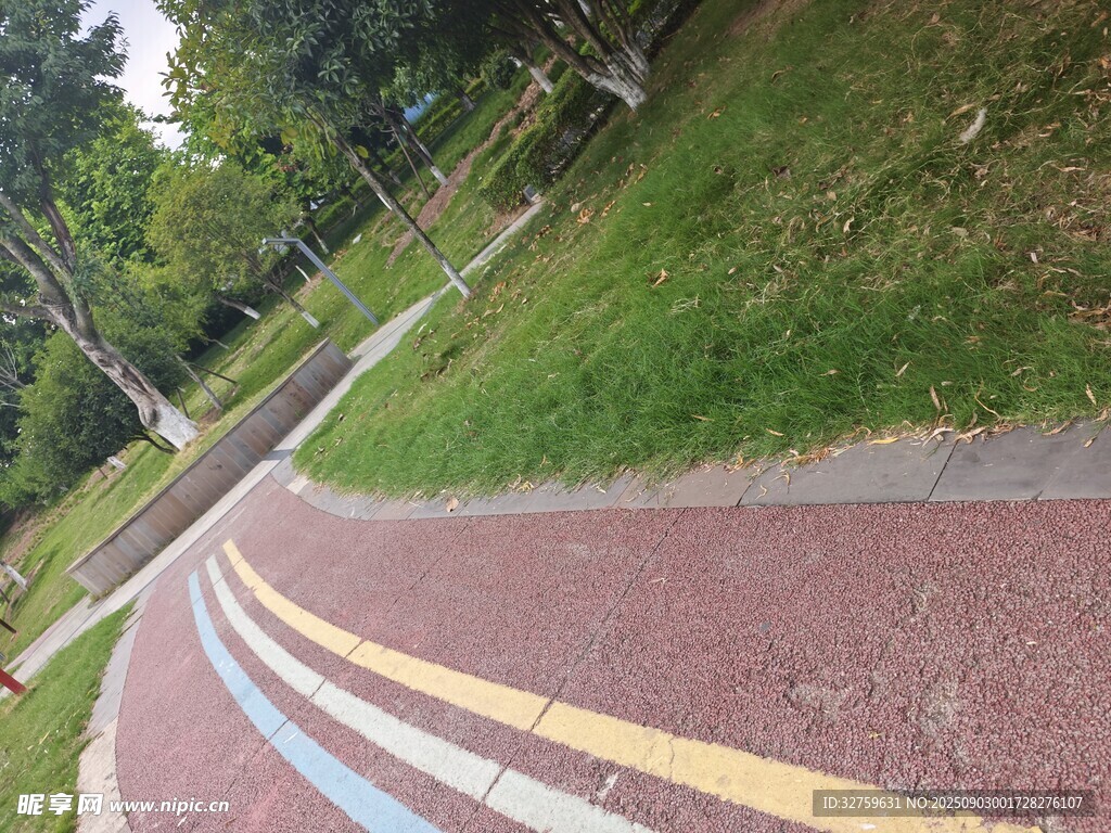 彩色步道旁的绿意景观