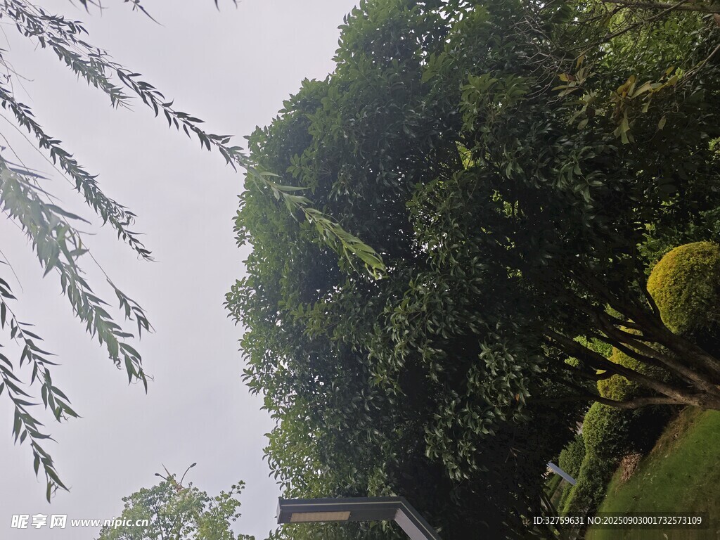 绿意盎然的园林景致