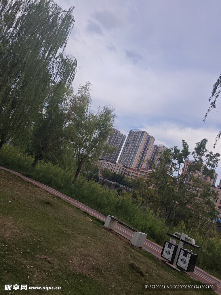 城市公园中的休闲景致