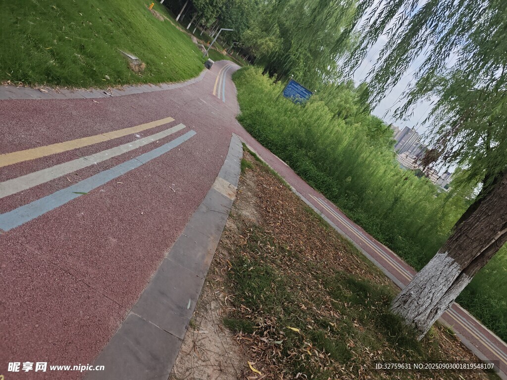公园彩色步道旁绿植景观