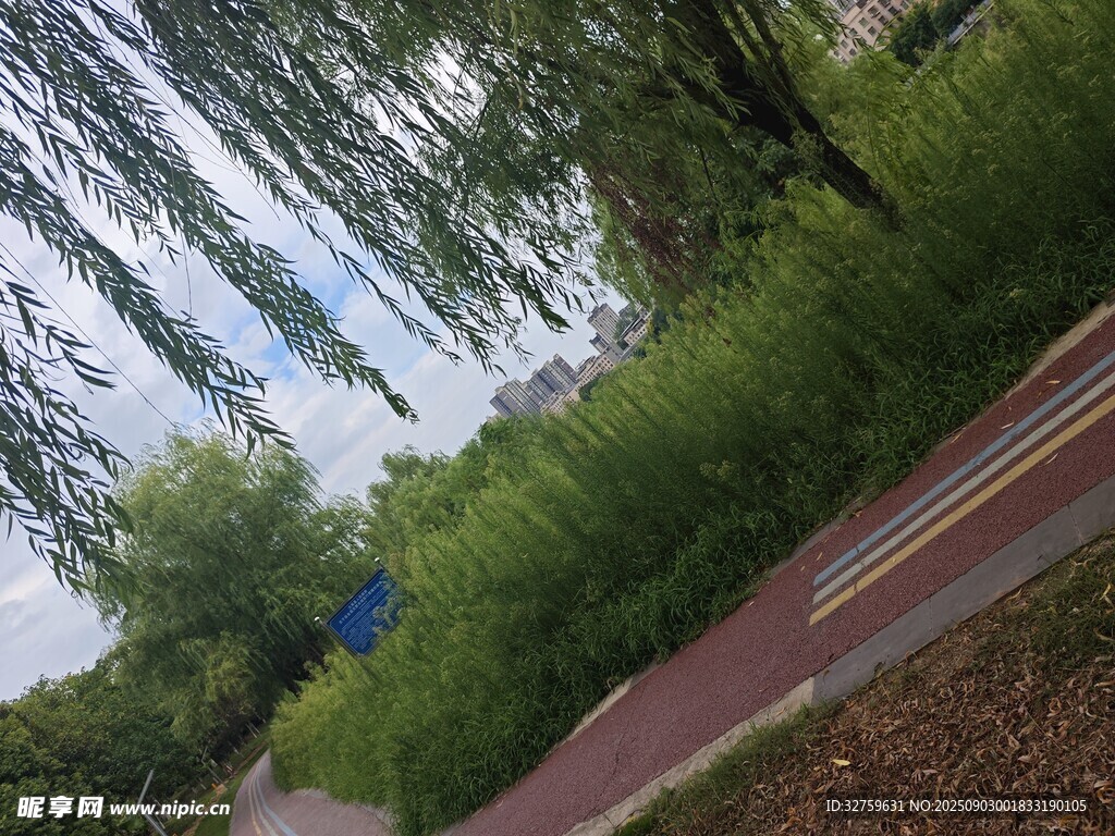 林间小径