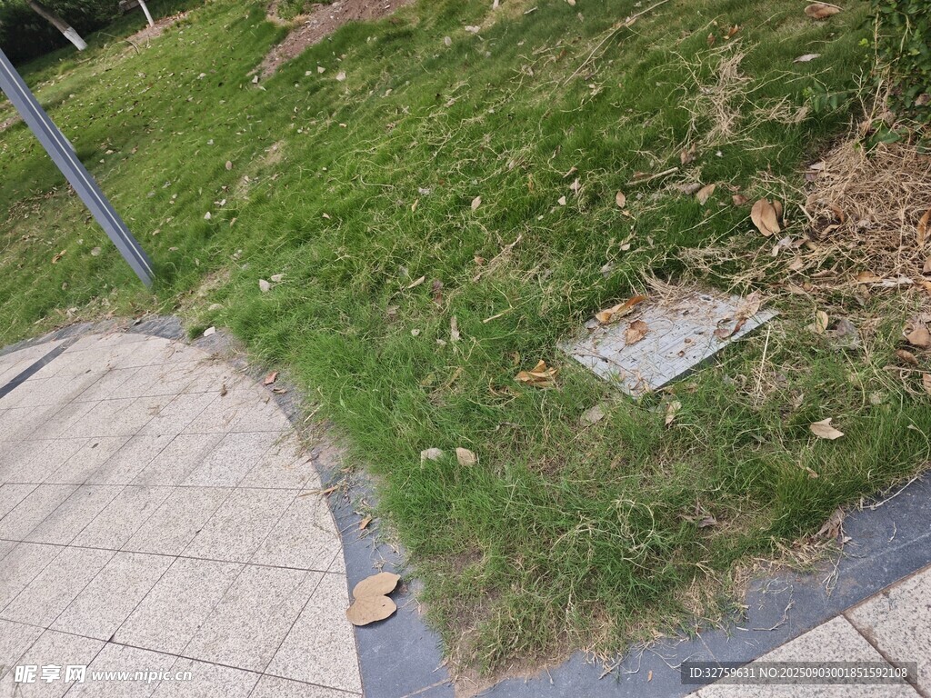 路边草地与方形设施
