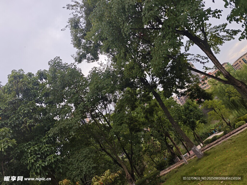 户外绿树草地风景图