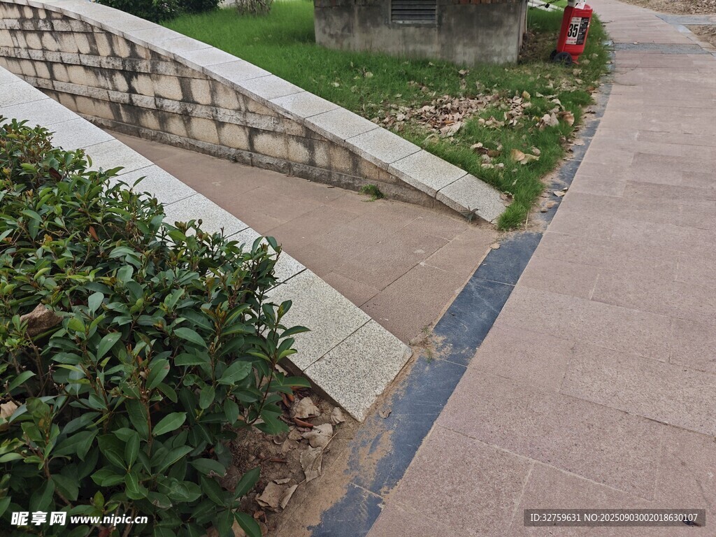 户外步道旁的绿植景观