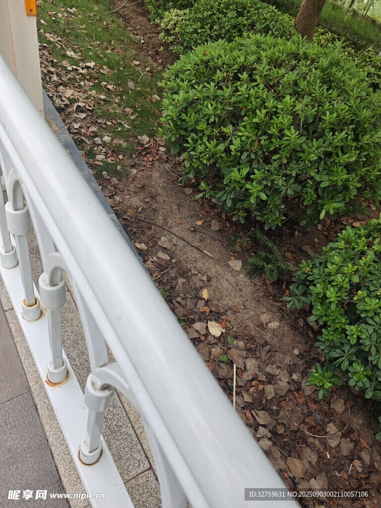 白色护栏旁的绿植景观