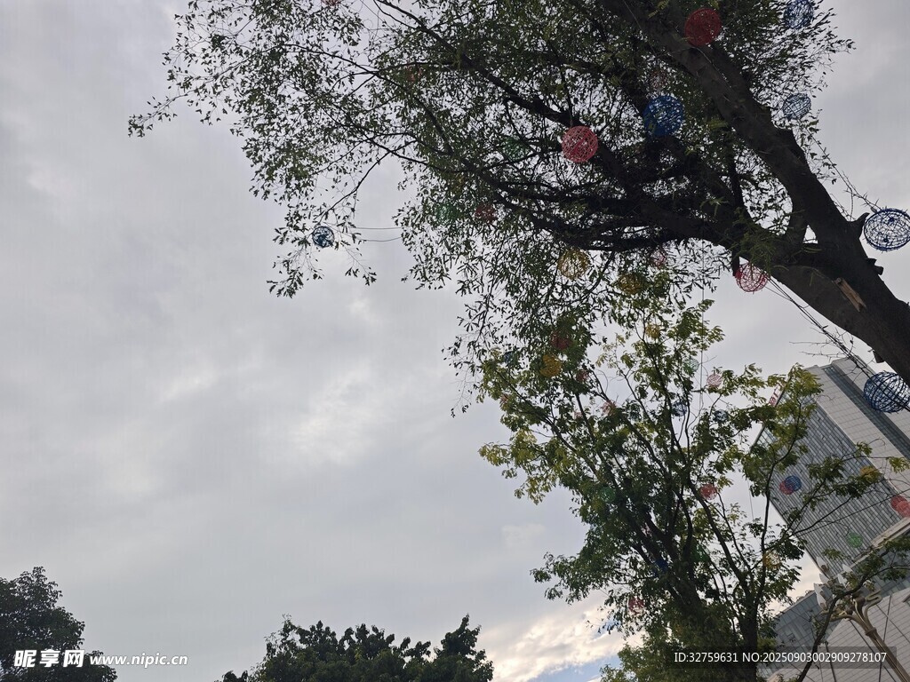 树枝上的多彩物品