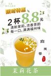 清新茉莉花茶海报