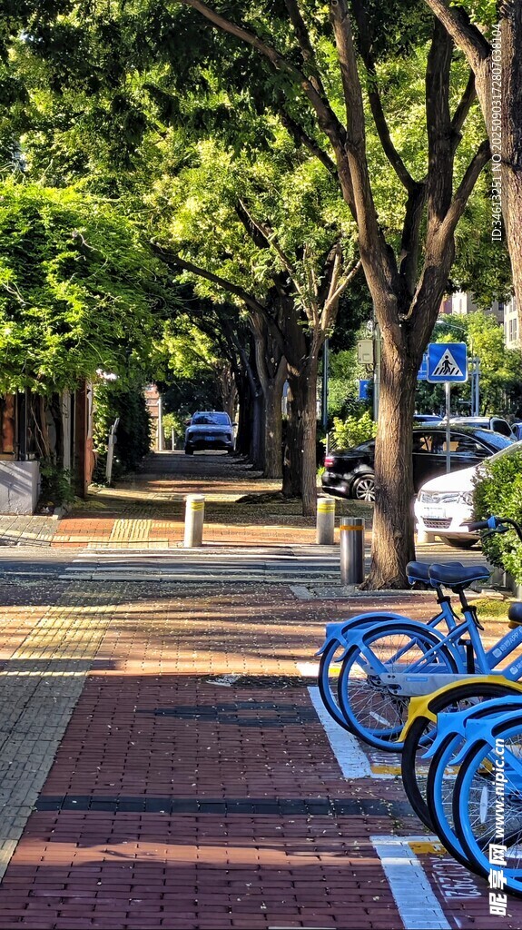 初晨阳光下的街道