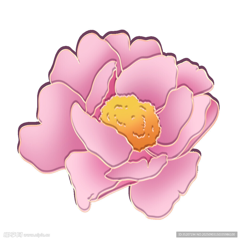 粉色娇艳牡丹花