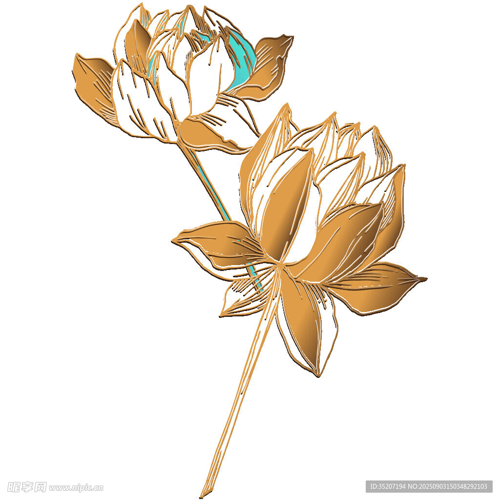 金色莲花插画