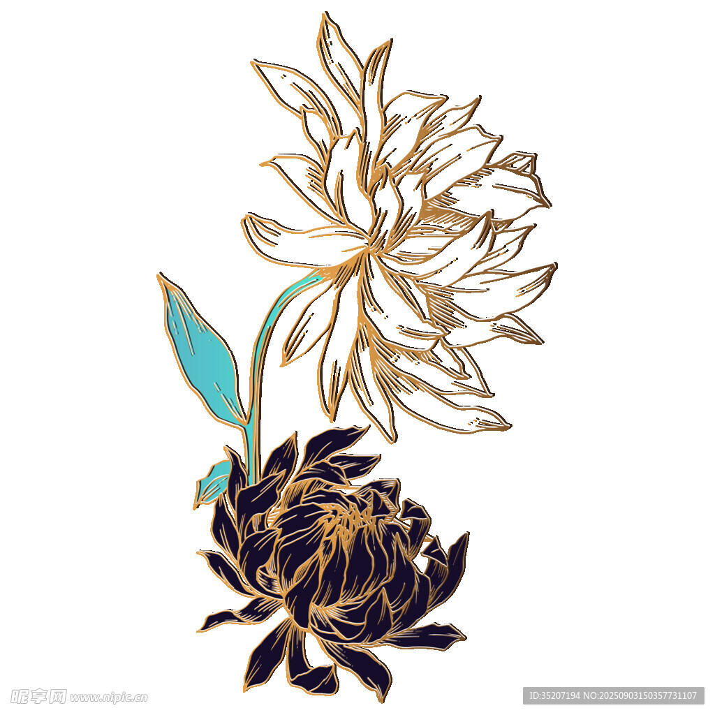 双花金纹插画