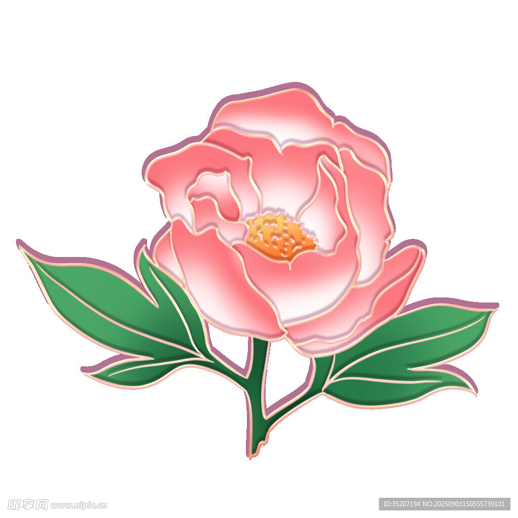 手绘粉色山茶花图案