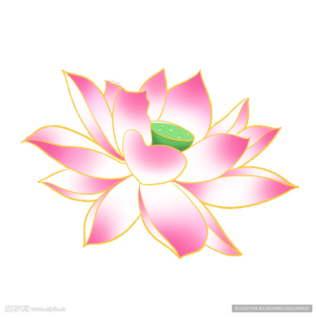 粉色莲花图案