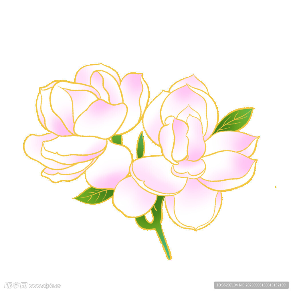 手绘粉色花卉插画