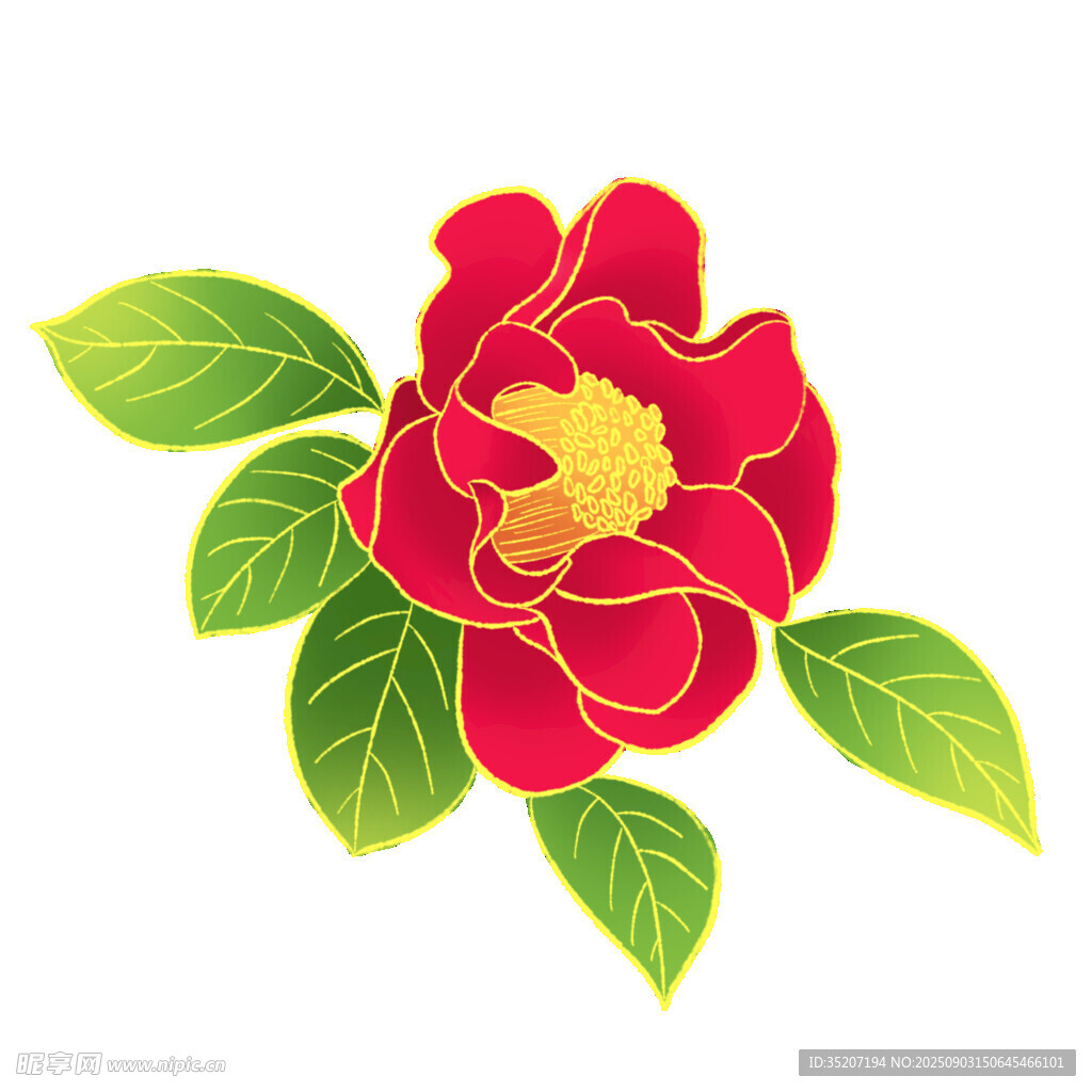 红色花卉插画 