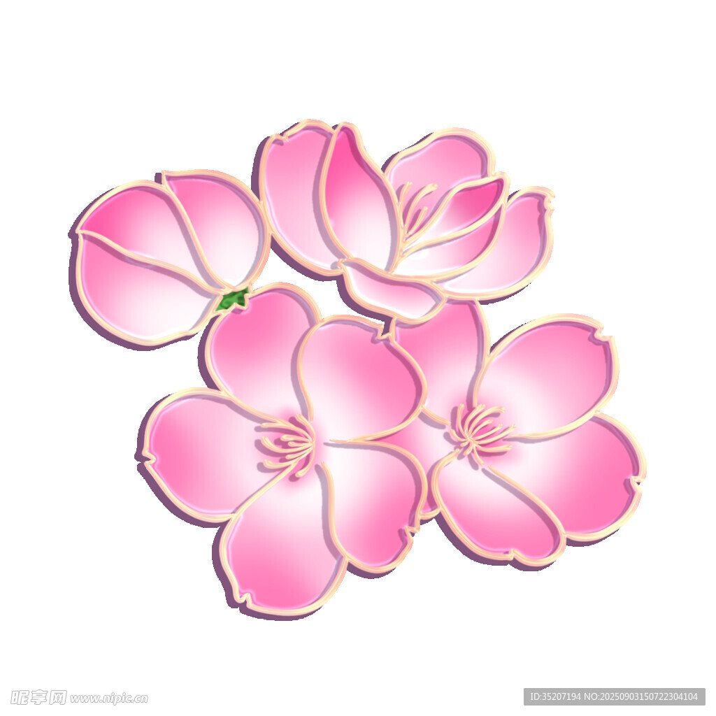 粉色立体花朵装饰图案